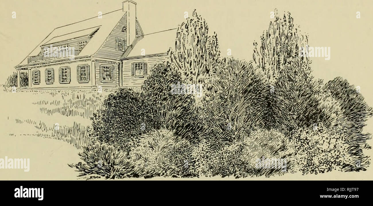 https www alamy com beautiful home surroundings landscape gardening nurseries horticulture screen planting 21 may be used and as is often desirable in front of this a third row of medium or small shrubs to further soften the lines and break all possible monotony on your side of the screen this presents an opportunity to use shrubs with fine foliage or bark colorings as well as flowering shrubs a screen of evergreens is also very good for this purpose and possesses the added advantage of blocking the view the whole year round as is shown on sketch no 8 please note that these images are extracted image235212803 html