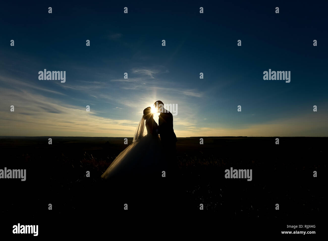 Wedding Couple Kissing On The Sunset Silhouette Of Bride And