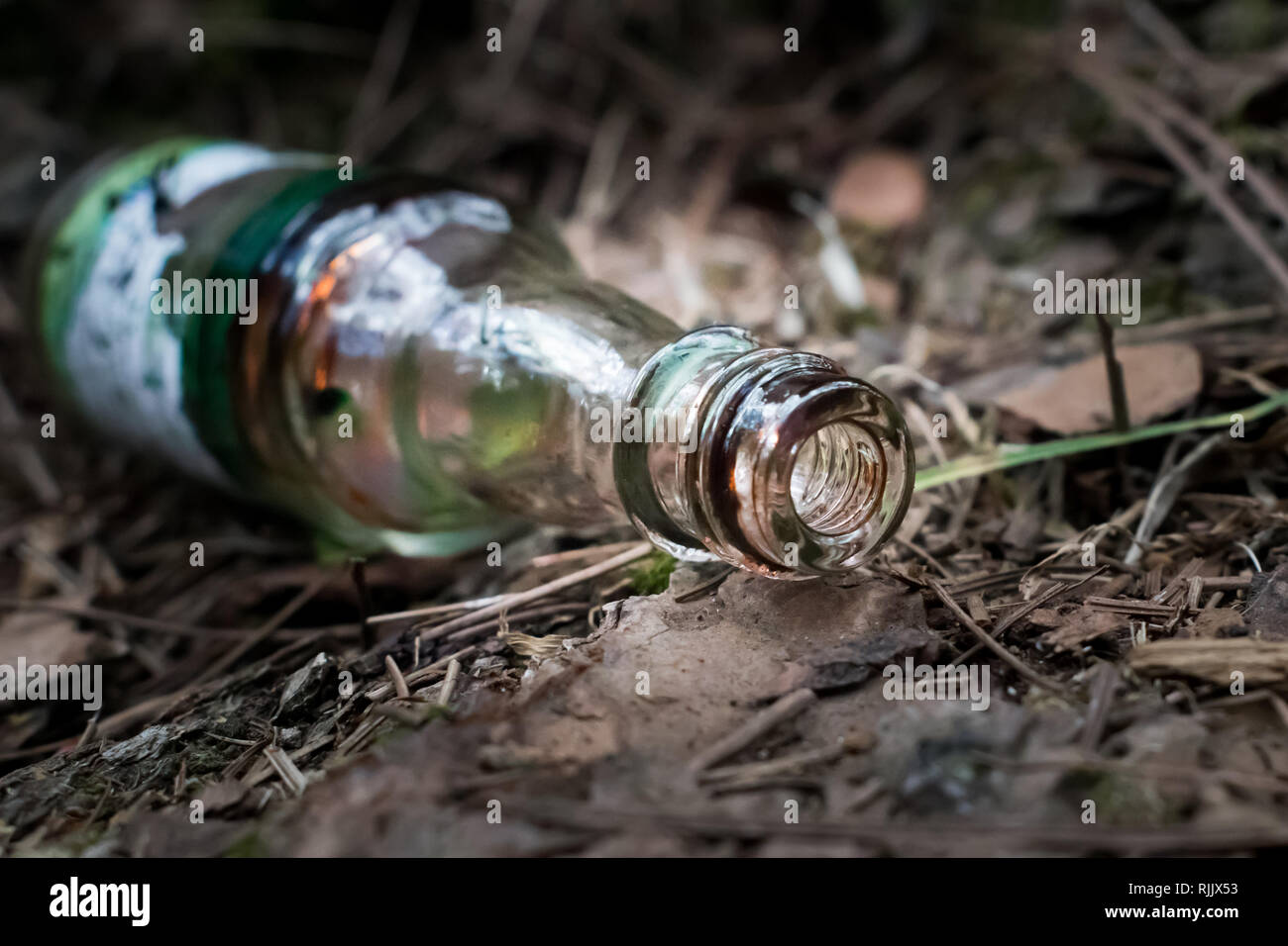 Small bottle thrown at the foot of a pine tree Stock Photo