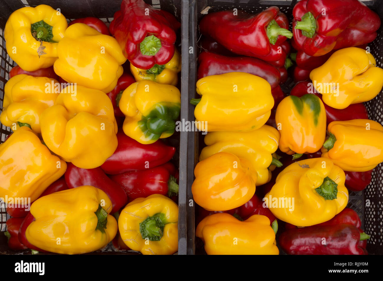 Fresh red and yellow bell peppers in a crate Stock Photo - Alamy