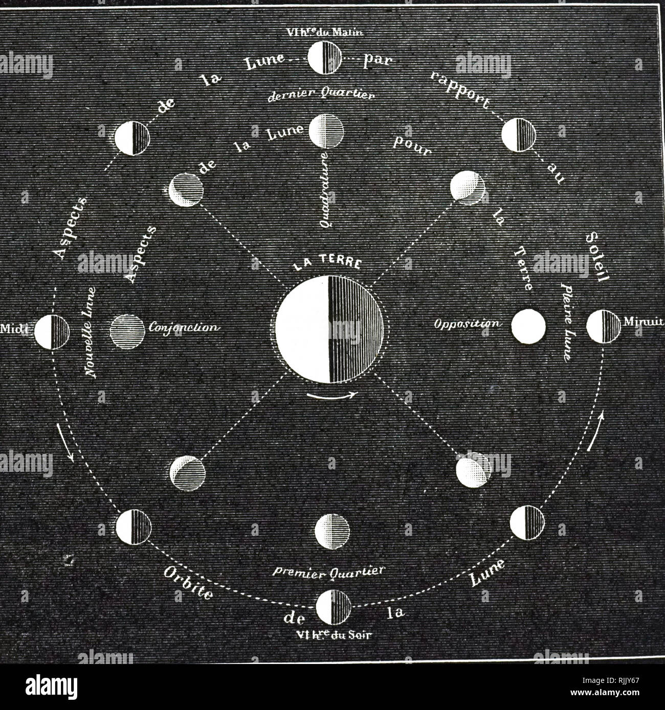 Moon phases diagram hi-res stock photography and images - Alamy