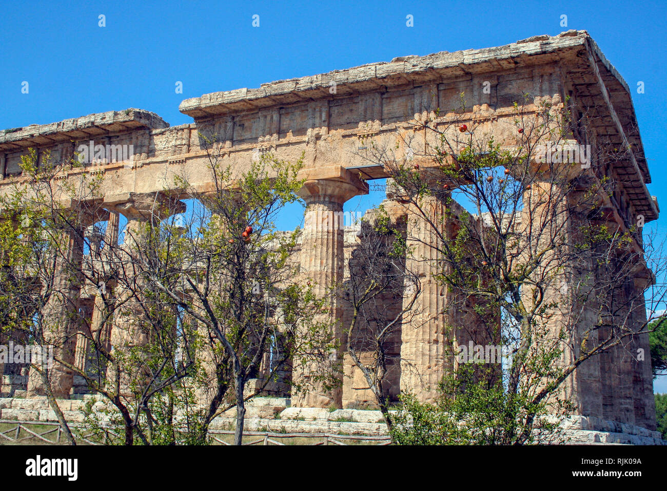 The temple of Neptune or Hera II,   in the archaelogical site of Paestum, ancient greek colony Stock Photo