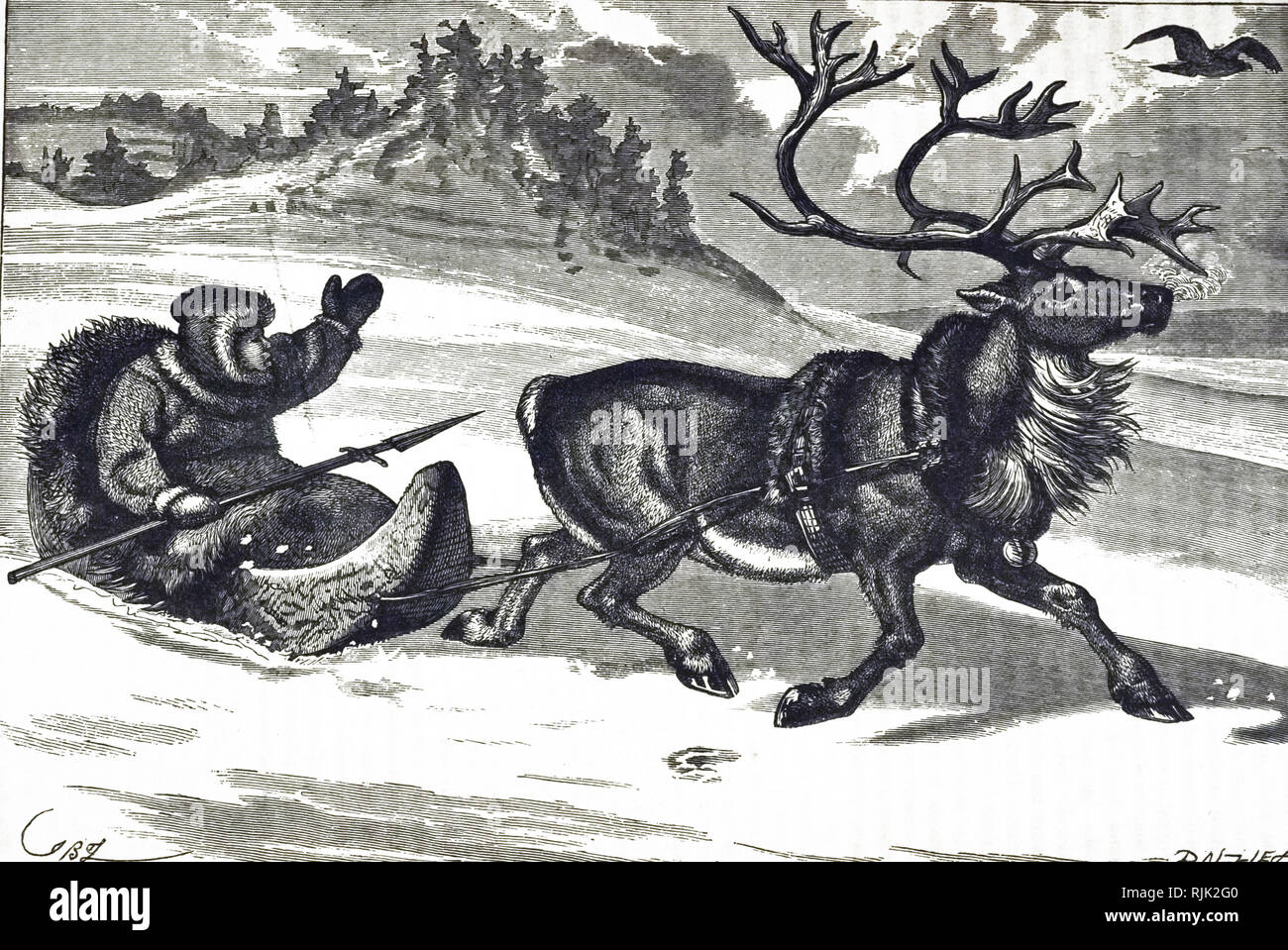 An engraving depicting a Lapland reindeer sledge. Dated 19th century ...