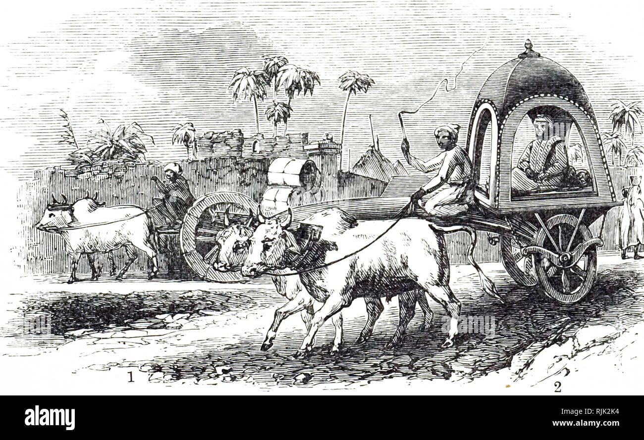 An engraving depicting oxcarts in India. The Dooly on the right has