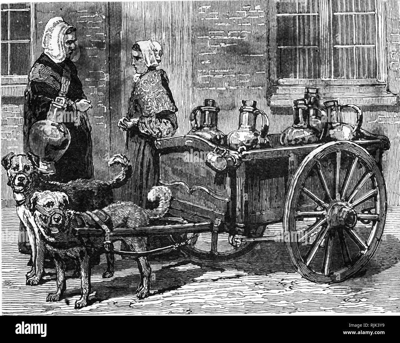 An engraving depicting a milk woman making her deliveries using a small cart pulled by dogs in Holland. Dated 19th Century Stock Photo