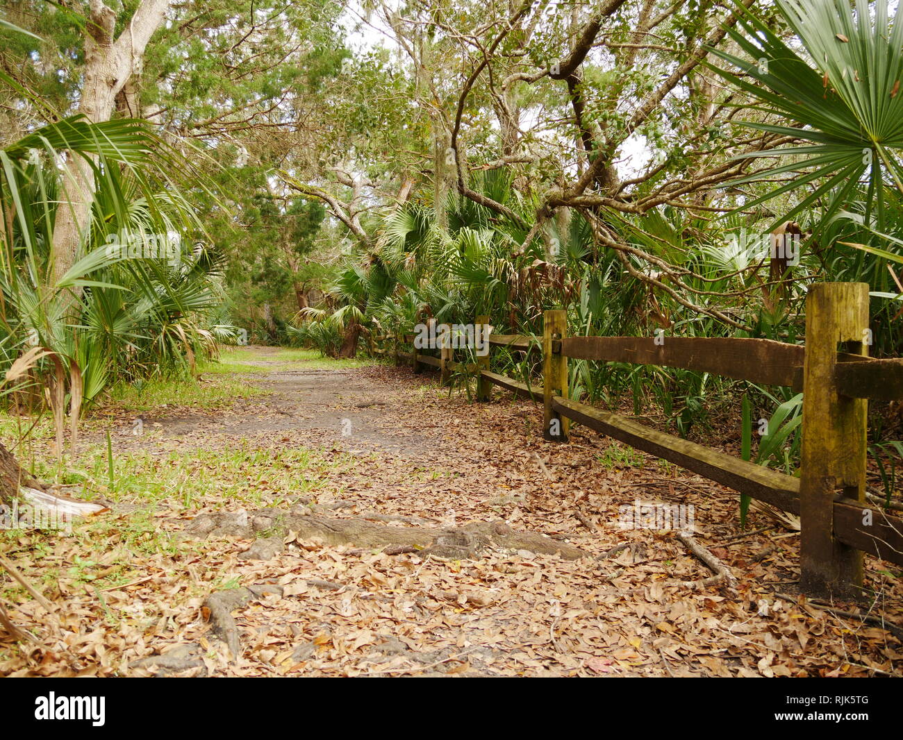 Autumn National Park wooden fence Stock Photo - Alamy