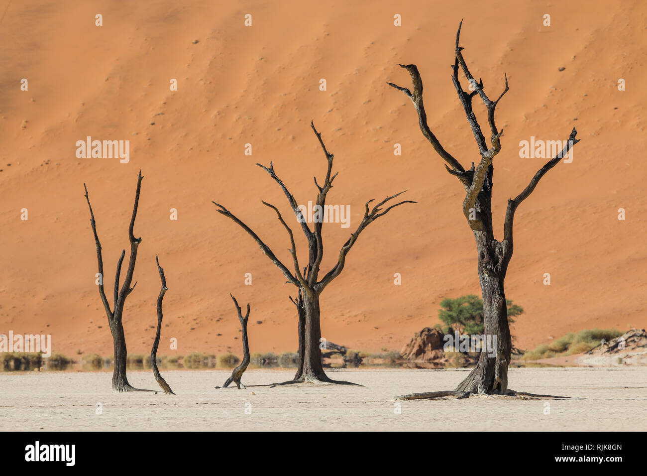 Deadvlei in der Namib Stock Photo