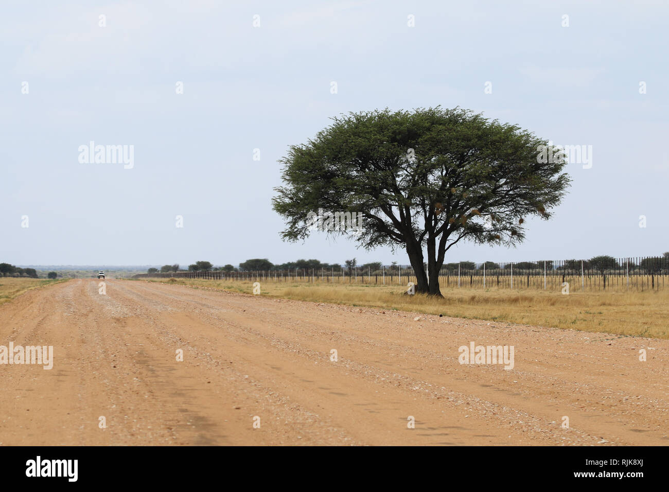 Straße in Namibia Stock Photo