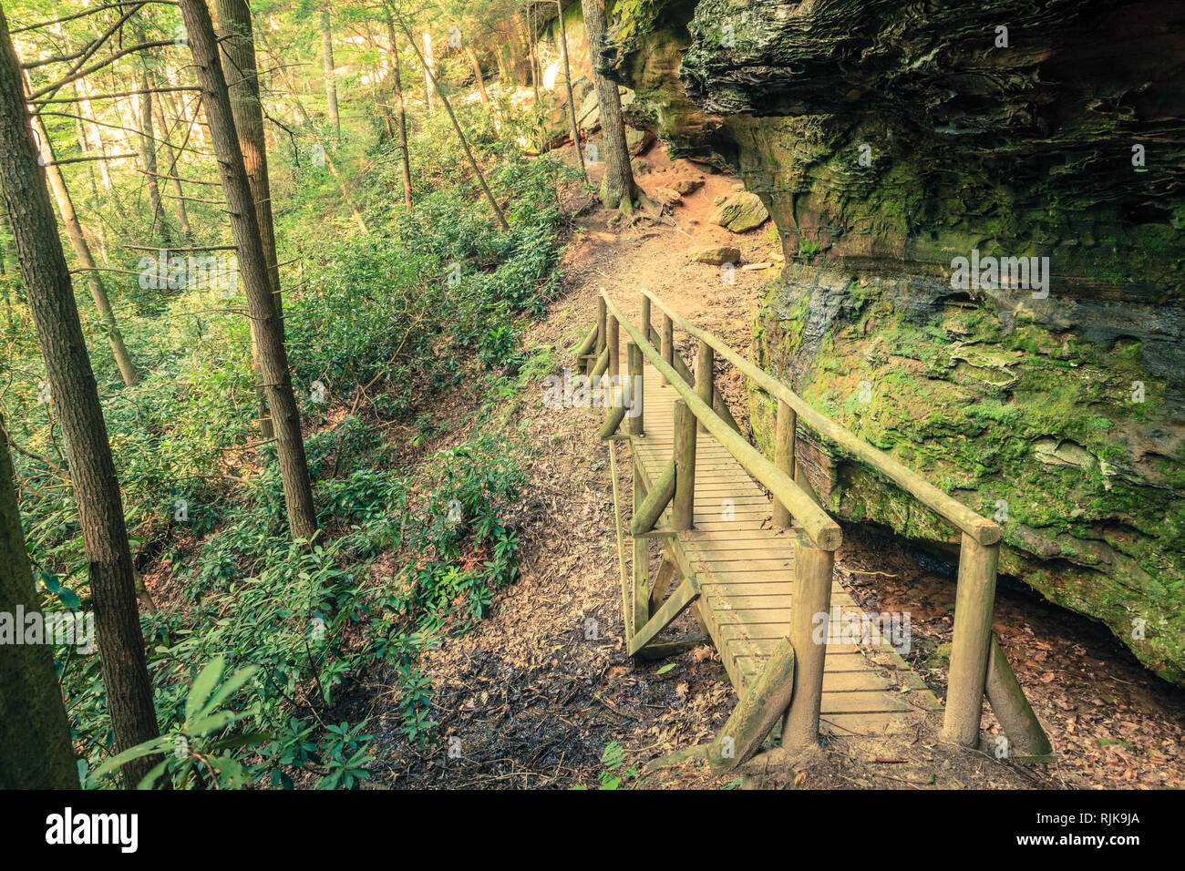 Hiking trail in Natural Bridge State Park in Kentucky Stock Photo