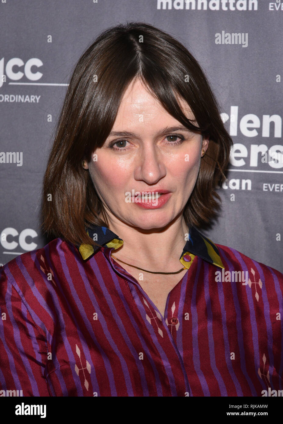 New York, USA. 5th Feb 2019. Emily Mortimer and Alessandro Nivola attend 'To Dust' New York Screening at The JCC on February 05, 2019 in New York City. Credit: Erik Pendzich/Alamy Live News Stock Photo