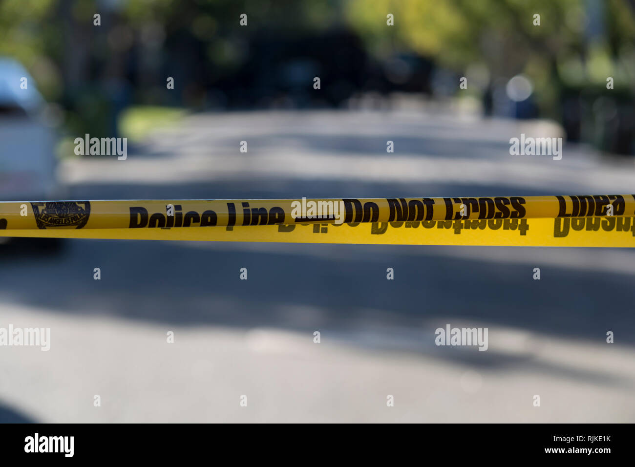 Studio City, CA USA 06 February 2019 Los Angeles Police SWAT team at a