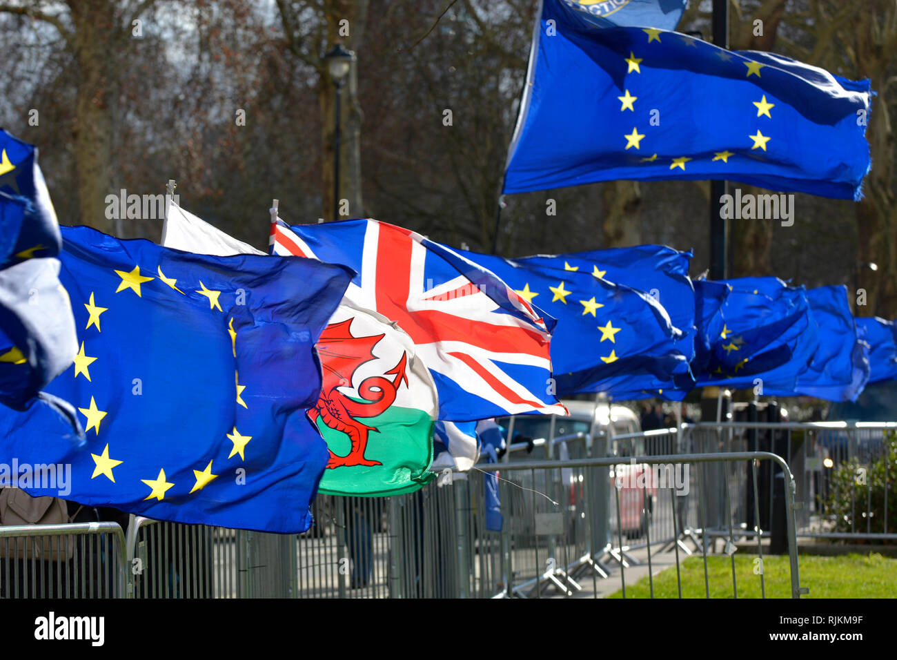 Westminster, London, UK. 7th Feb 2019. Daily SODEM (Stand of Defiance European Movement, started by Steven Bray) anti-Brexit protest outside Parliament. A good windy day for flag flying Credit: PjrFoto/Alamy Live News Stock Photo