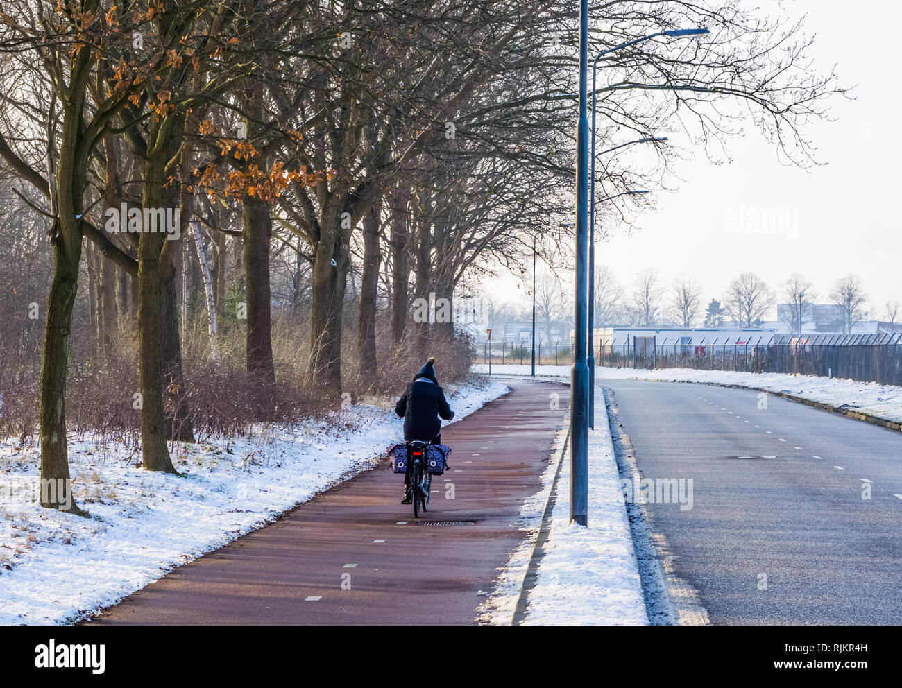 cyclist cycling on a road during winter season in the Netherlands Stock Photo