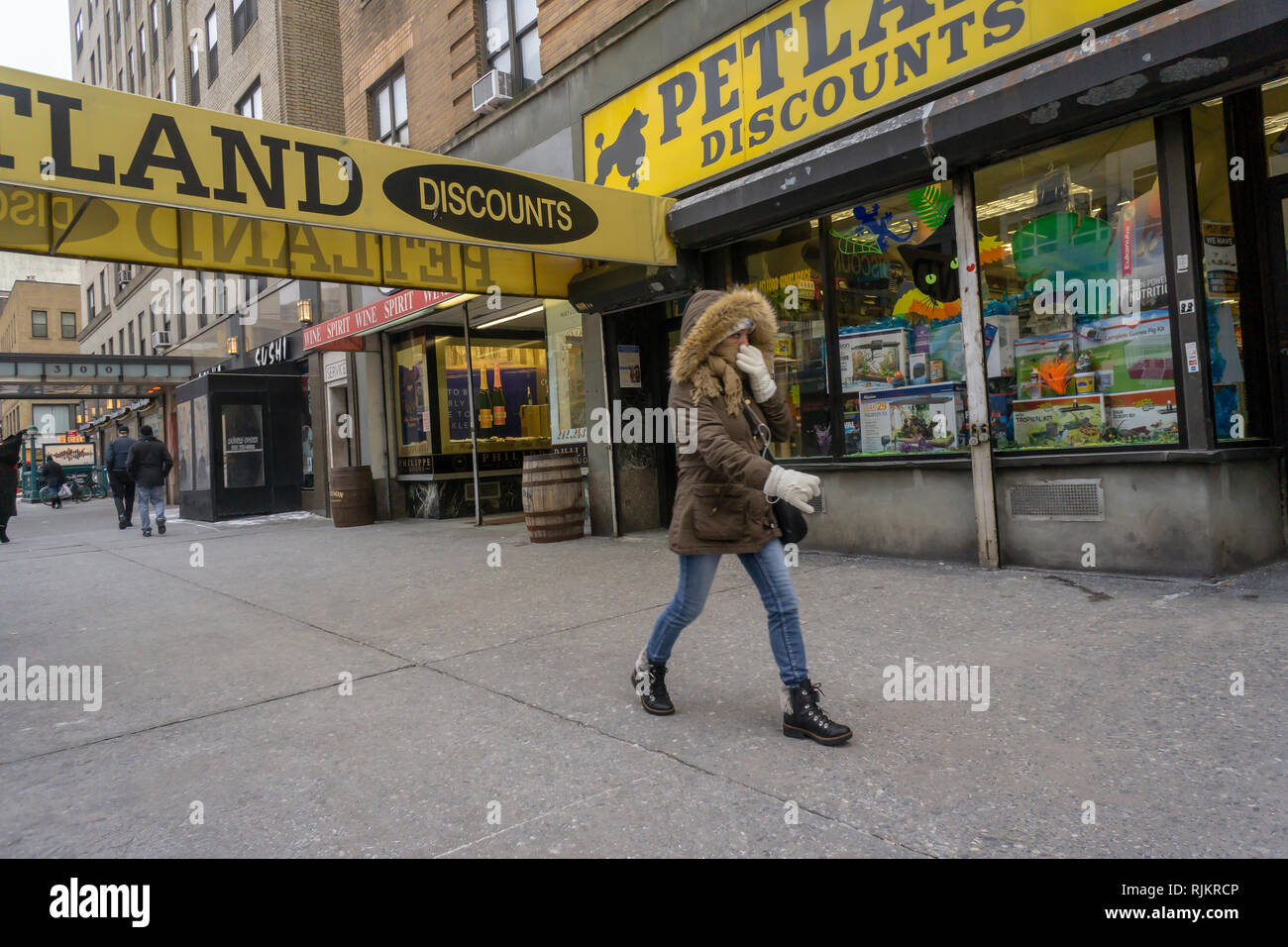 Petland clearance discounts brooklyn