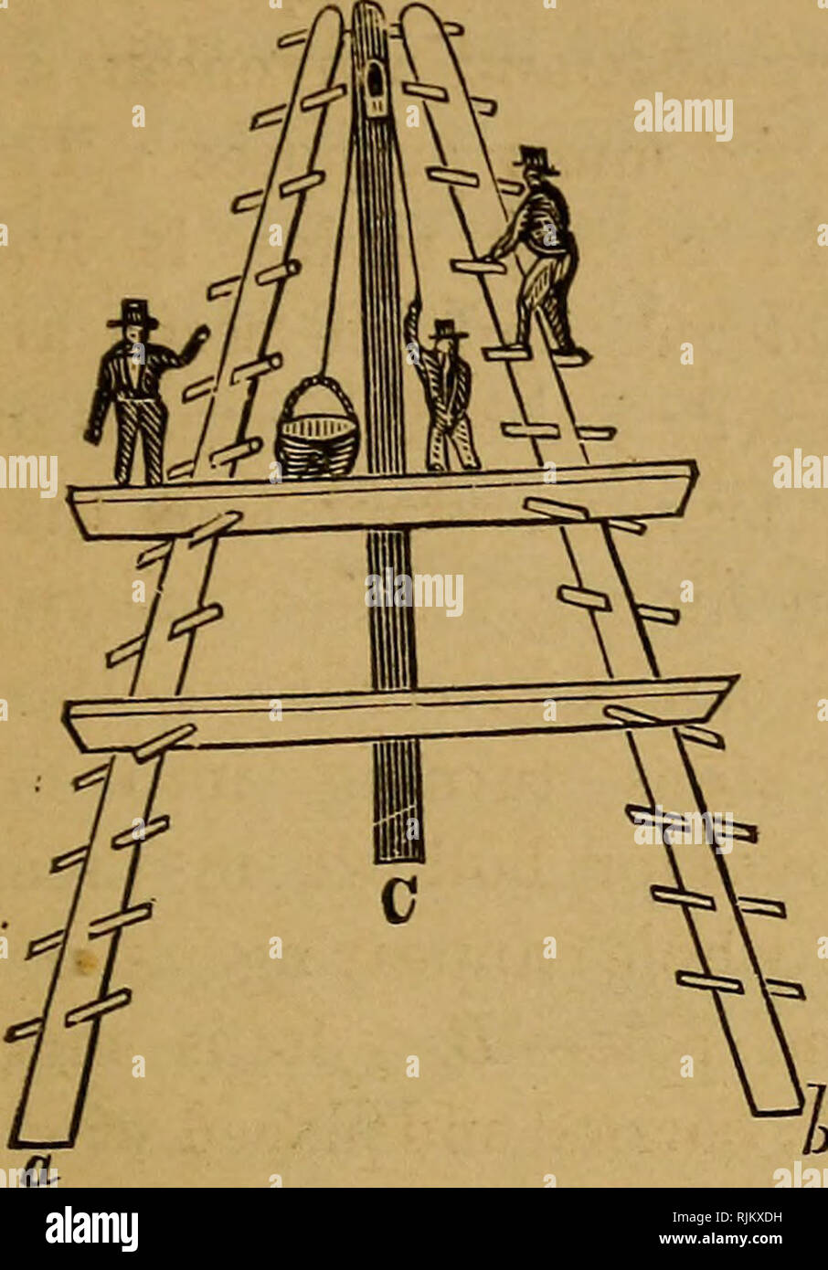 Barry S Fruit Garden Fruit Culture Ladders And Fruit Gatherers 503 More Can Ascend And Work On A Ladder At The Same Time Fig 187 Represents One Of These A B The Two Fixed