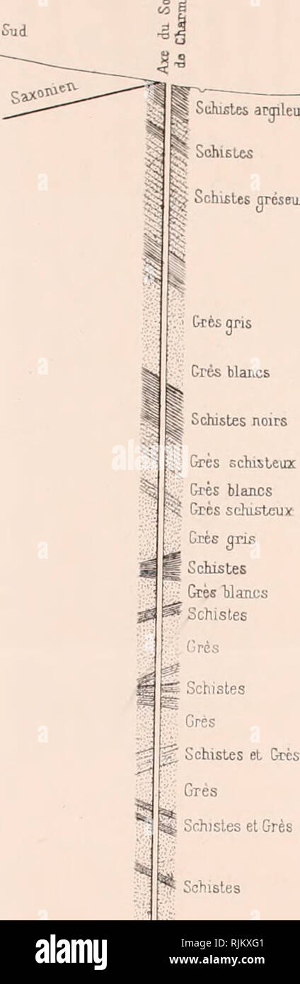 Sondage High Resolution Stock Photography And Images Alamy