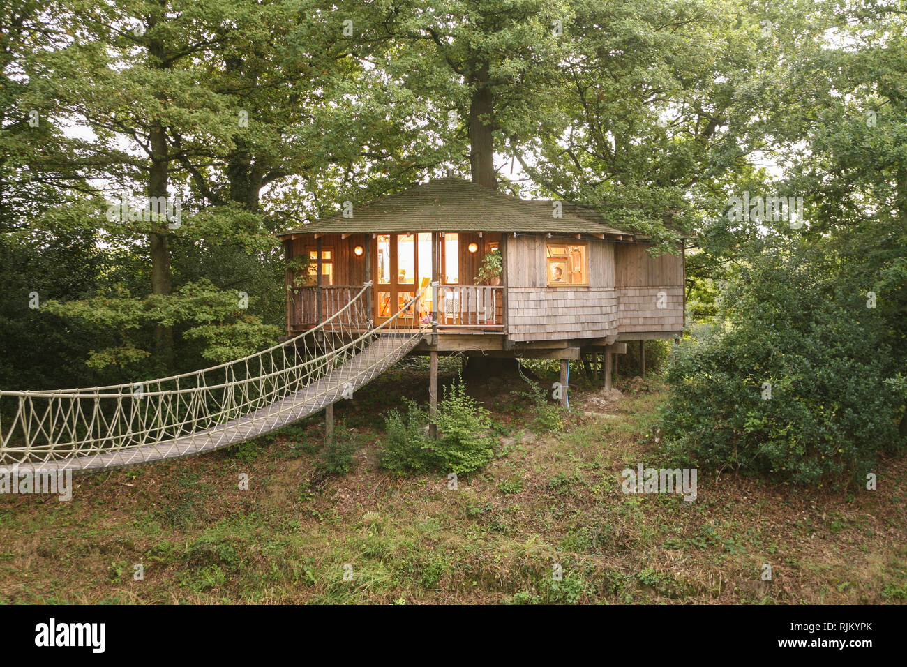 tree house in East Sussex, UK Stock Photo