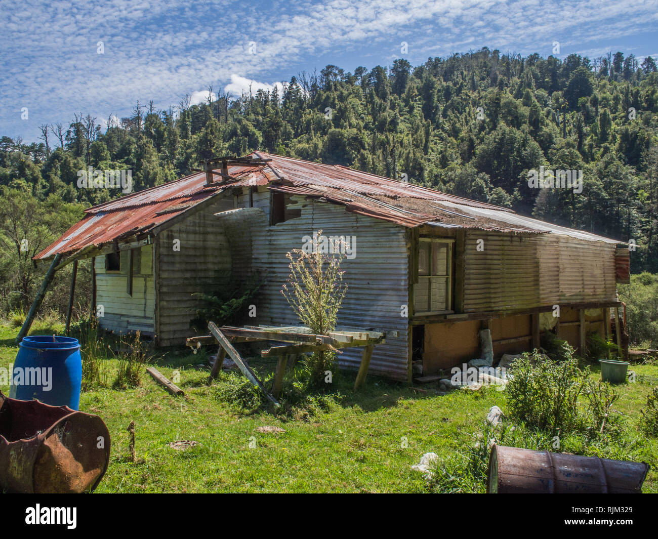 Edgecumbe Homestead, abandoned house, native forest bush clad hills, Ahuahu Valley, Whanganui River, New Zealand Stock Photo