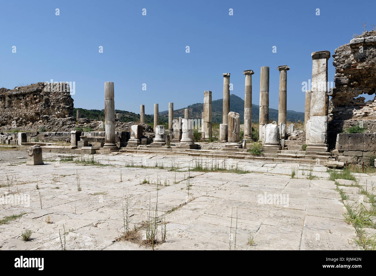 The Propylon - monumental gate that links the Artemis Sanctuary to the Agora. Magnesia on the Meander, Tekin, Ionia, Turkey. The propylon dates from a Stock Photo