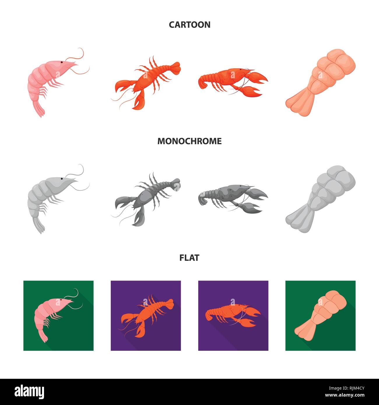prawn,lobster,raw,red,cooked,underwater,boiled,luxury,atlantic,fresh ...