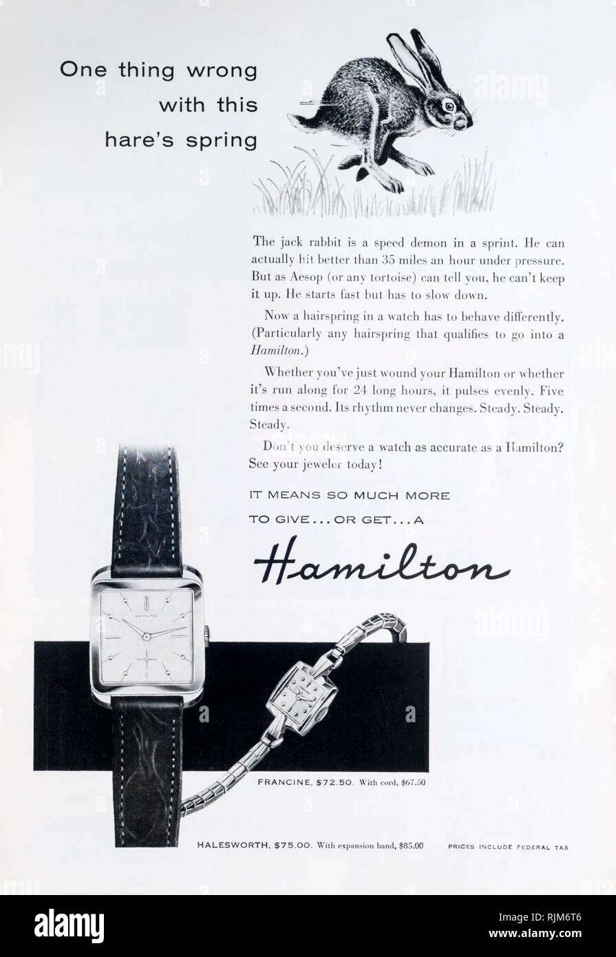 A 1955 magazine advertisement for Hamilton watches, made by the Hamilton Watch Company. Stock Photo