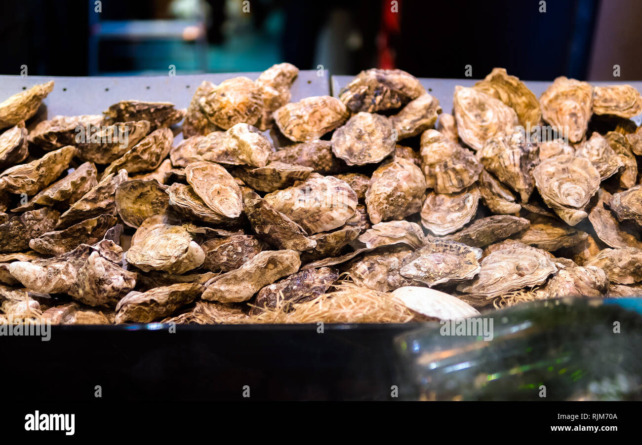 Oysters on the counter in wooden boxes on the market. Oysters for sale