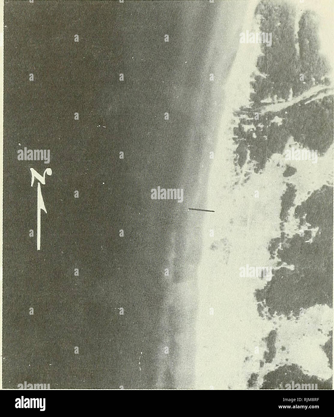 Silver lake sand dunes hires stock photography and images Alamy