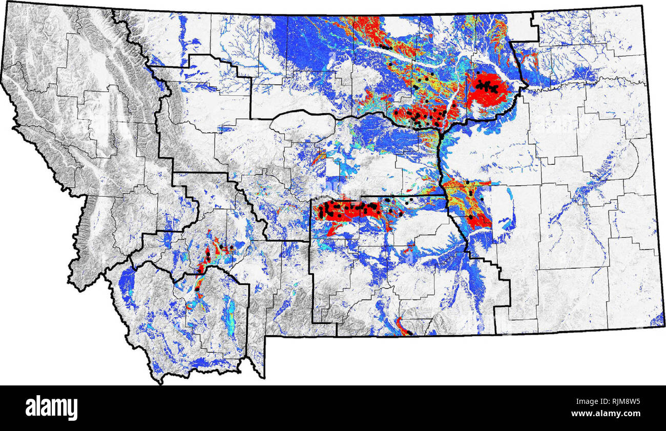 . Surveys for grassland birds of the Malta Field OfficeBLM, including