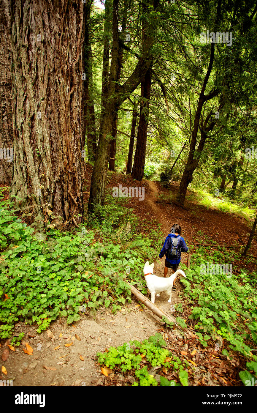 Coastal Hikes High Resolution Stock Photography and Images - Alamy