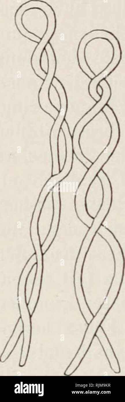 Verderben High Resolution Stock Photography And Images Alamy