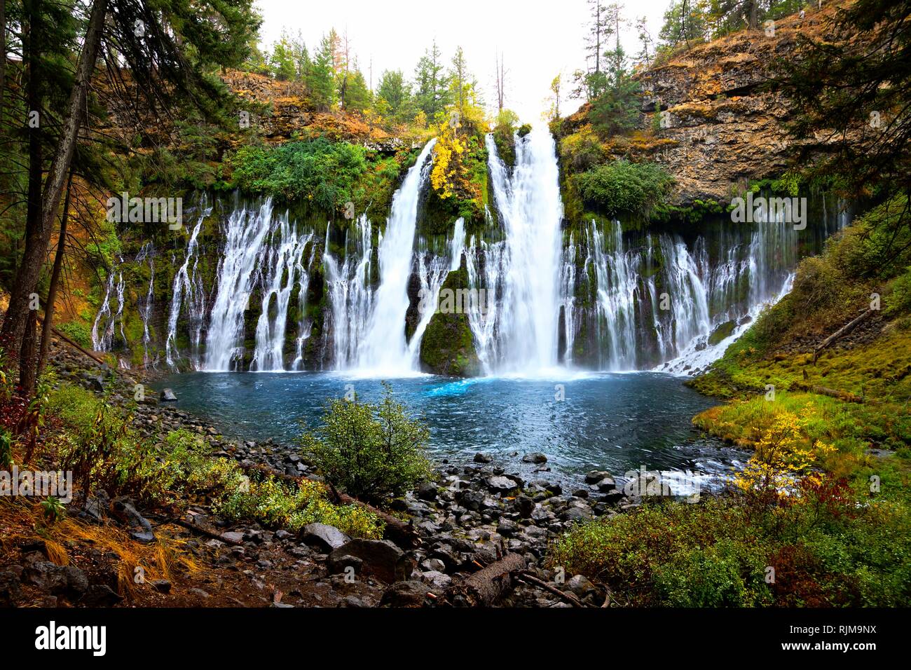 Burney Falls: A Cascade of Wonder in Northern California