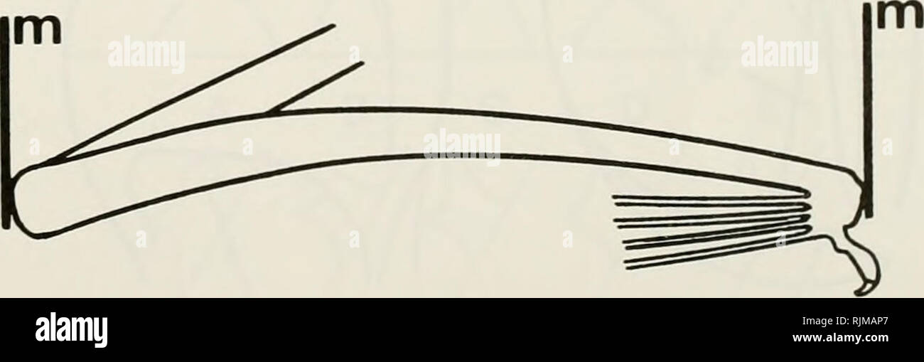 Page 2 M H High Resolution Stock Photography And Images Alamy