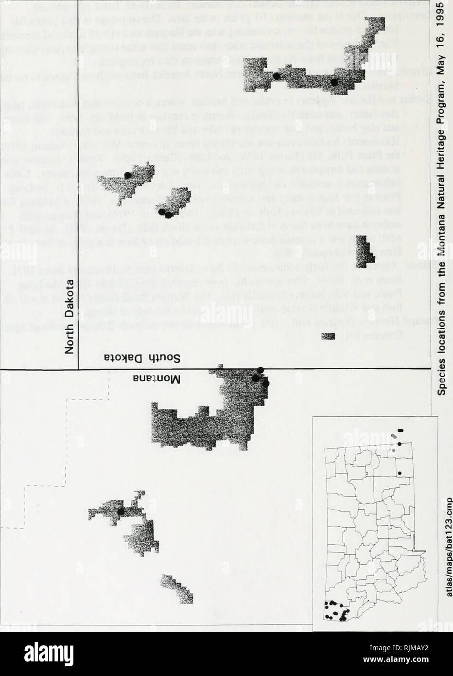 Bat Survey Of The Sioux District Custer National Forest 1994