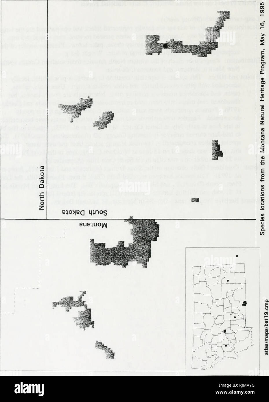 . Bat survey of the Sioux District, Custer National Forest : 1994 . Bats; Bats; Bats; Bats; Anabat bat detection systems; Bats; Bats; Long-eared myotis; Long-eared myotis; Western small-footed myotis; Western small-footed myotis; Long-legged myotis; Long-legged myotis; Fringed myotis; Fringed myotis; Big brown bat; Big brown bat; Silver-haired bat; Silver-haired bat; Hoary bat; Hoary bat; Plecotus townsendii; Plecotus townsendii; Mist netting. (0 c g Z i  Q X D g c o Â£ iâ -Q o o (0 'â M o CO &lt;n o c &lt;D k- iâ 3 O O O. Please note that these images are extracted from scanned page images th Stock Photo