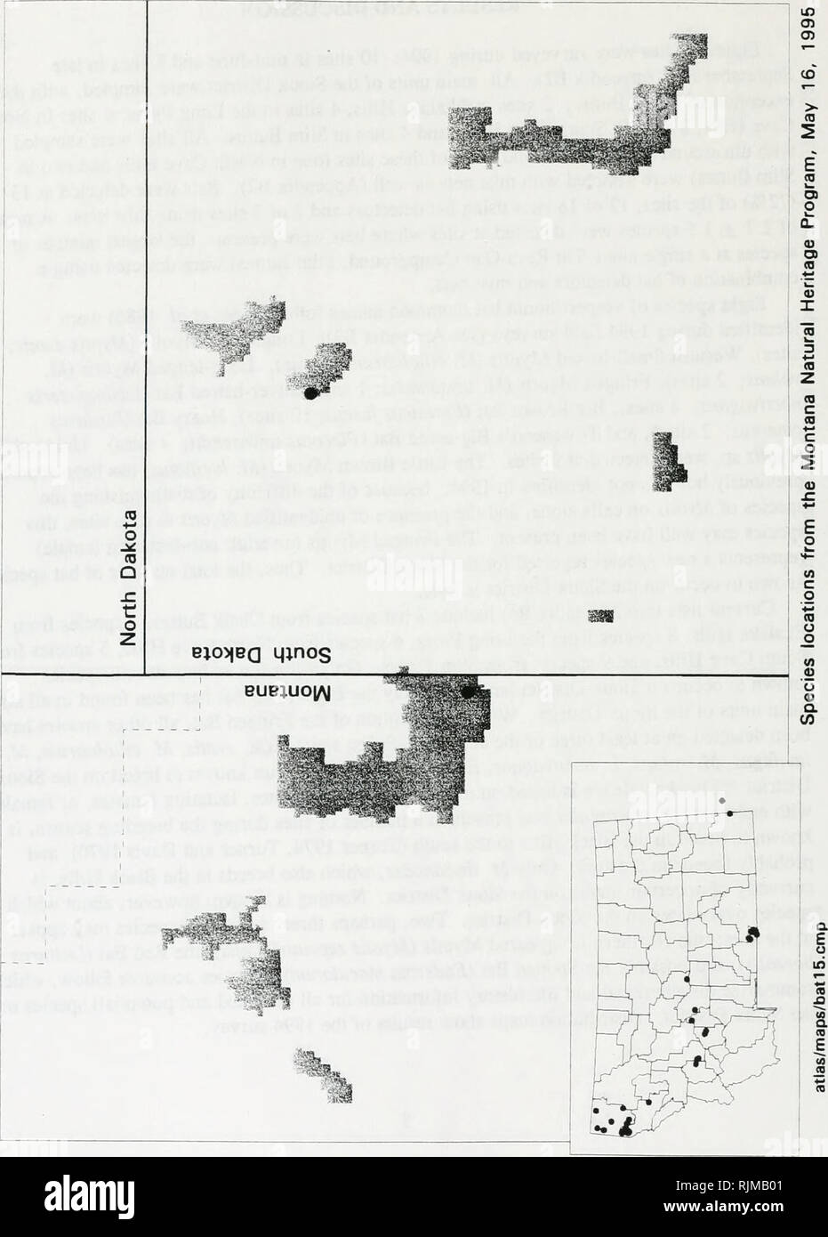 . Bat survey of the Sioux District, Custer National Forest : 1994 . Bats; Bats; Bats; Bats; Anabat bat detection systems; Bats; Bats; Long-eared myotis; Long-eared myotis; Western small-footed myotis; Western small-footed myotis; Long-legged myotis; Long-legged myotis; Fringed myotis; Fringed myotis; Big brown bat; Big brown bat; Silver-haired bat; Silver-haired bat; Hoary bat; Hoary bat; Plecotus townsendii; Plecotus townsendii; Mist netting. +â Â» V) o c g &gt; Q X D O C/D (D to c c o W 'â M o (/) (1) o c &lt;n k  iâ D O o O. Please note that these images are extracted from scanned page imag Stock Photo