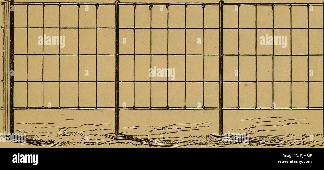 Grape trellis garden wall hires stock photography and images Alamy