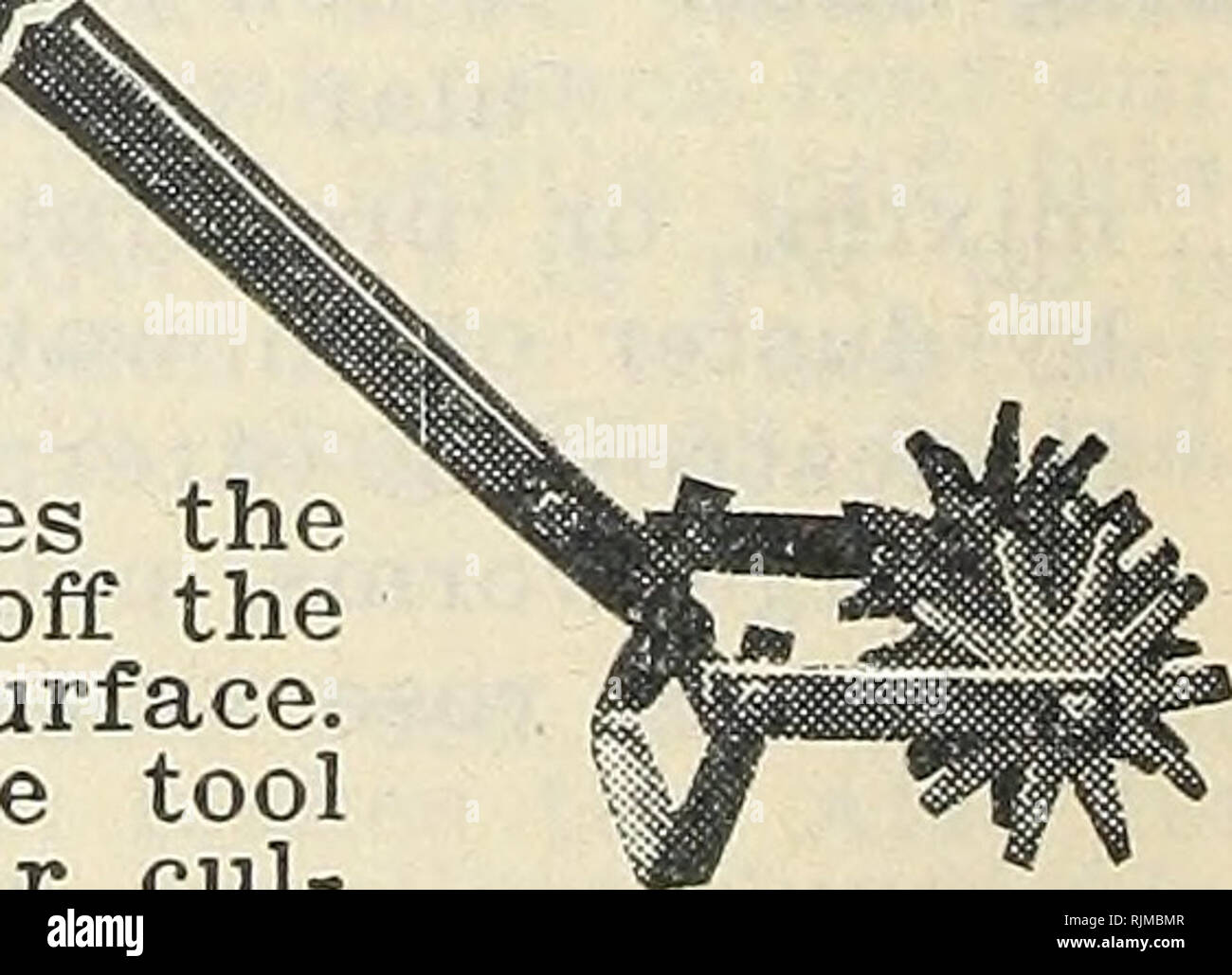 Chisel shaped teeth hires stock photography and images Alamy