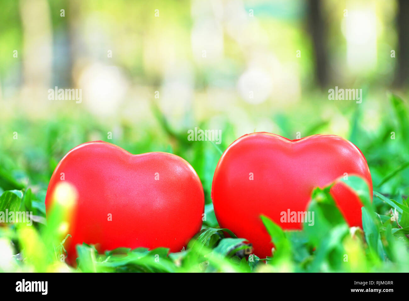 Two red heart smile on grass field Stock Photo