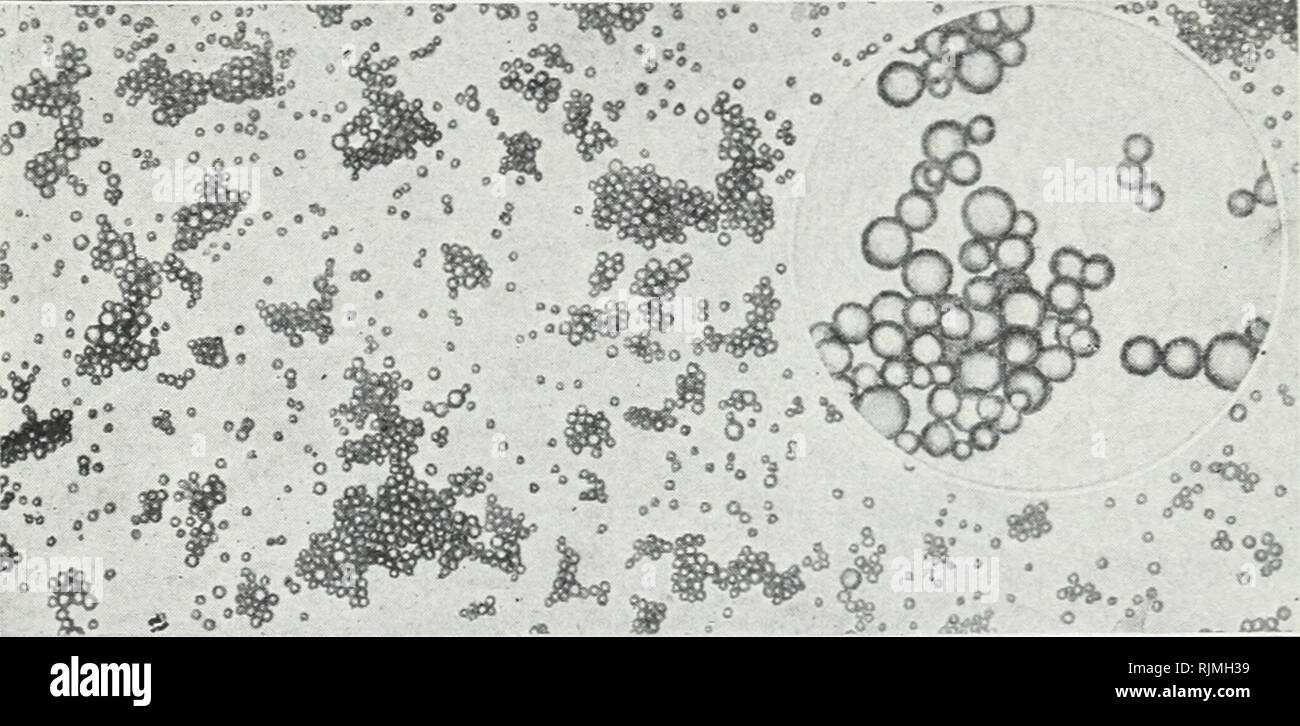 Bacteriological methods in food and drug laboratories, with an introduction  to micro-analytical methods. Bacteriology; Food; Drug adulteration;  Bacteriology. MILK 121 Milk may be described as a uniform suspension of fat  globules