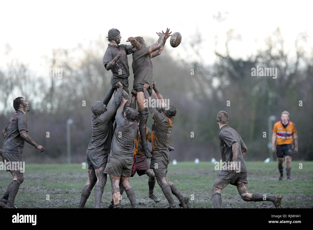 Muddy rugby players jump for the ball in a line out Stock Photo