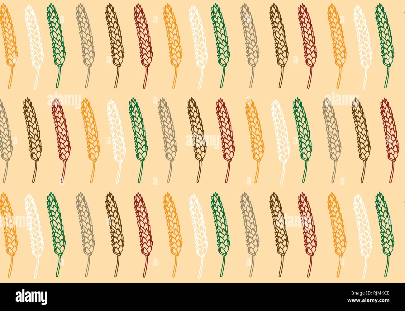 Vector pattern illustration hand drawn spring wheat in orange,green, brown, red, white and gray colors palette. Malt beer background. Autumn harvest. Stock Vector