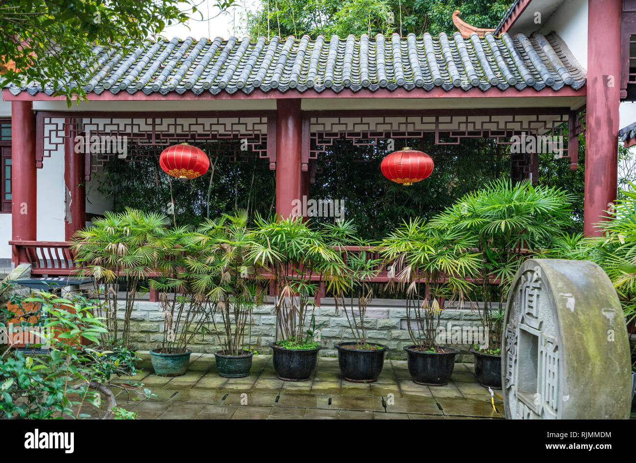 Orange Chinese Lanterns Stock Photo