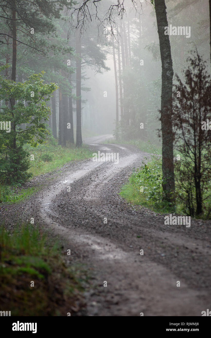 empty country gravel road with mud puddles and bumps. dirty road