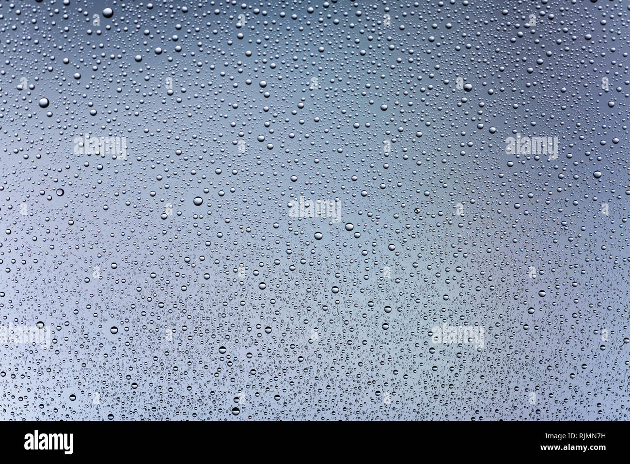Drops of water on glass in a gray background. Abstraction. Stock Photo