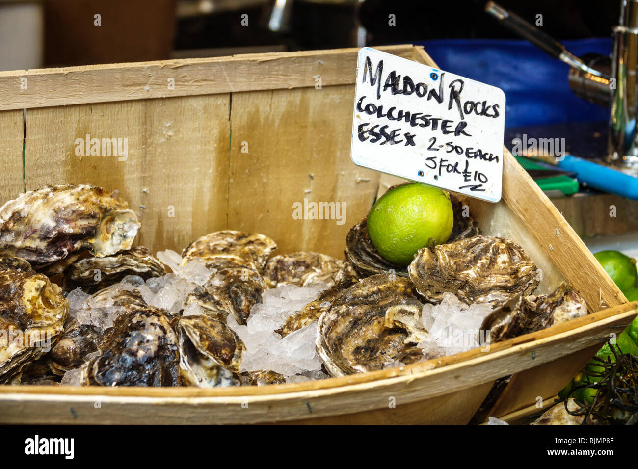 Maldon rock oysters hires stock photography and images Alamy