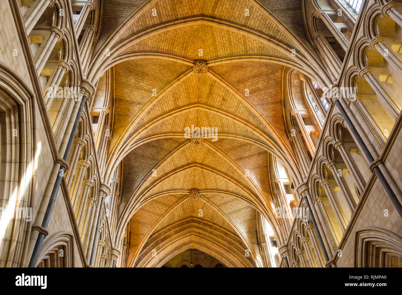 United Kingdom Great Britain England London South Bank Southwark Southwark Cathedral Christian Anglican Diocese church nave vaulted ceiling Got Stock Photo