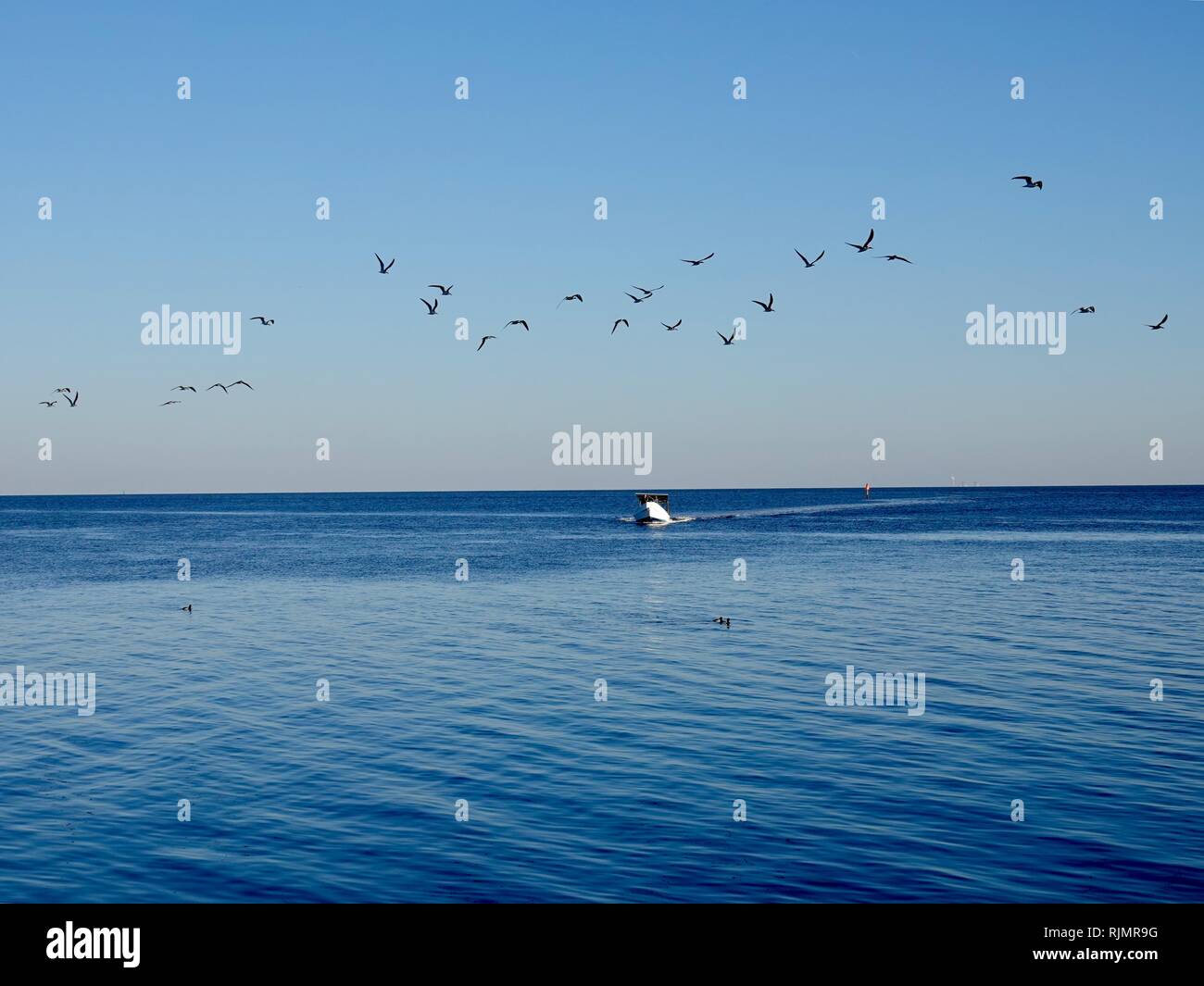 Clamming Boat High Resolution Stock Photography and Images - Alamy