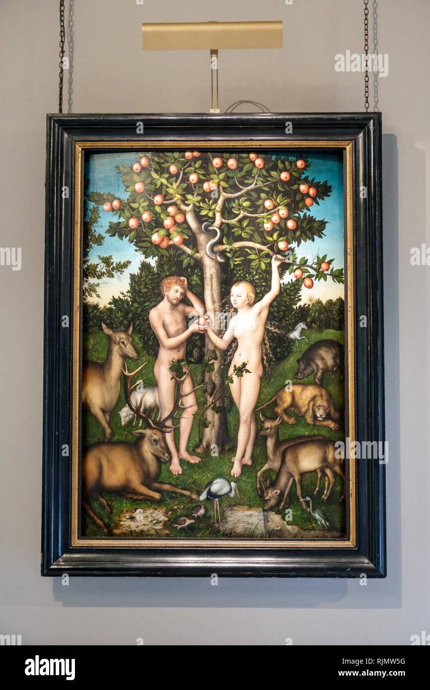Fine Art Print NEW 17/" x 24/" Lucas the Elder Venus.. HERMITAGE MUSEUM Cranach
