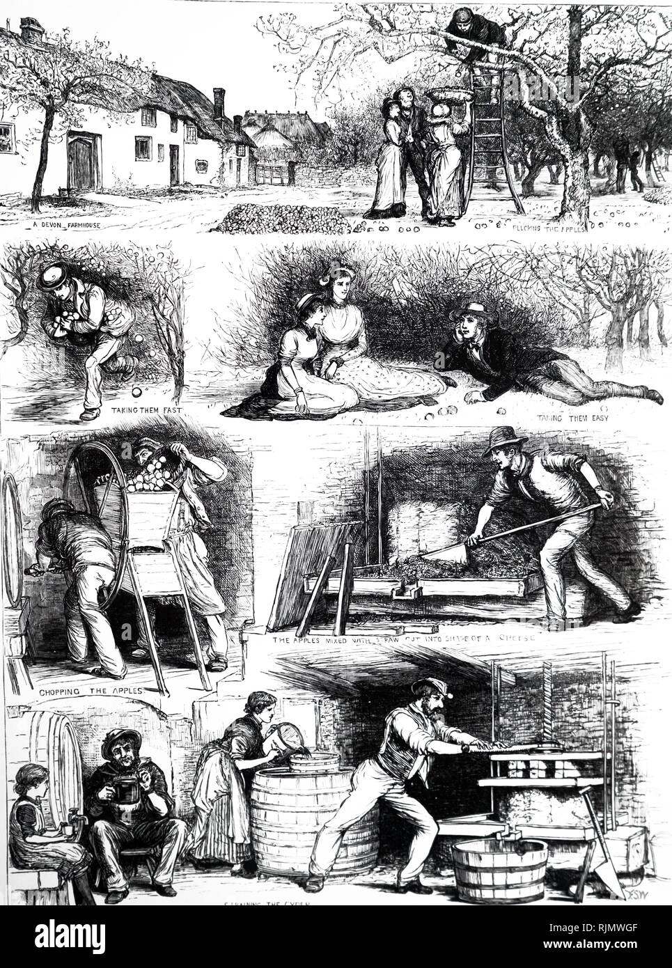 Engraving cider making in devon hires stock photography and images Alamy