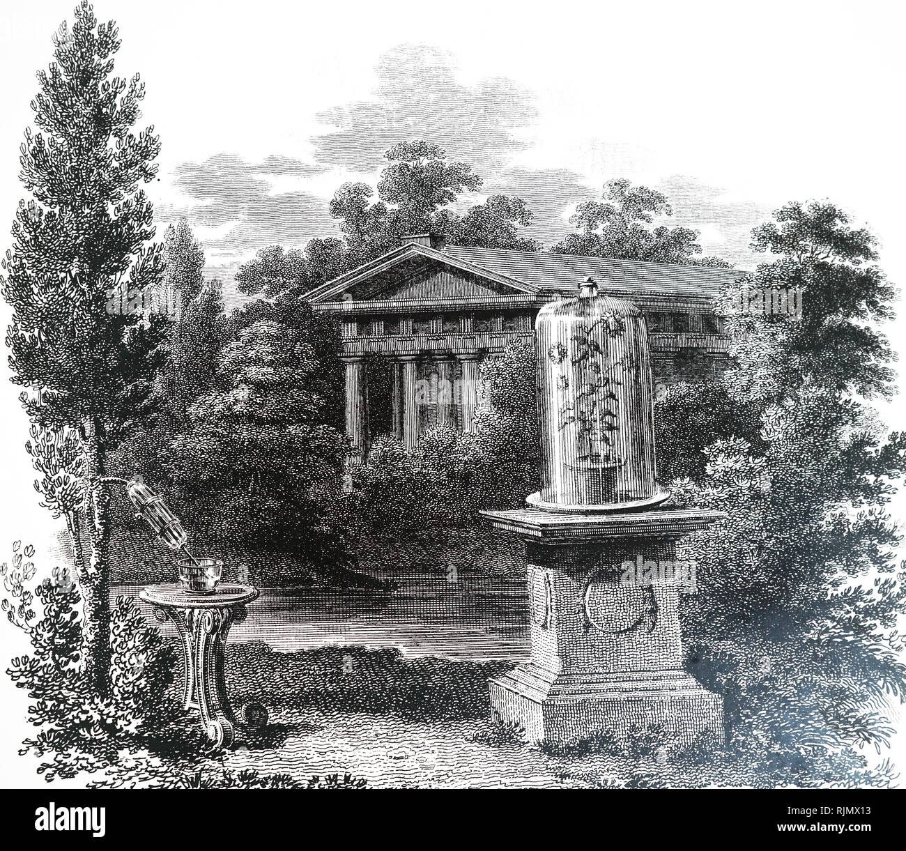 An engraving honouring Stephen Hales (1677-1761); showing his experiments in vegetable statics (left) and photo-synthesis (right). From Robert John Thornton The Temple of Flora, London, 1807 Stock Photo